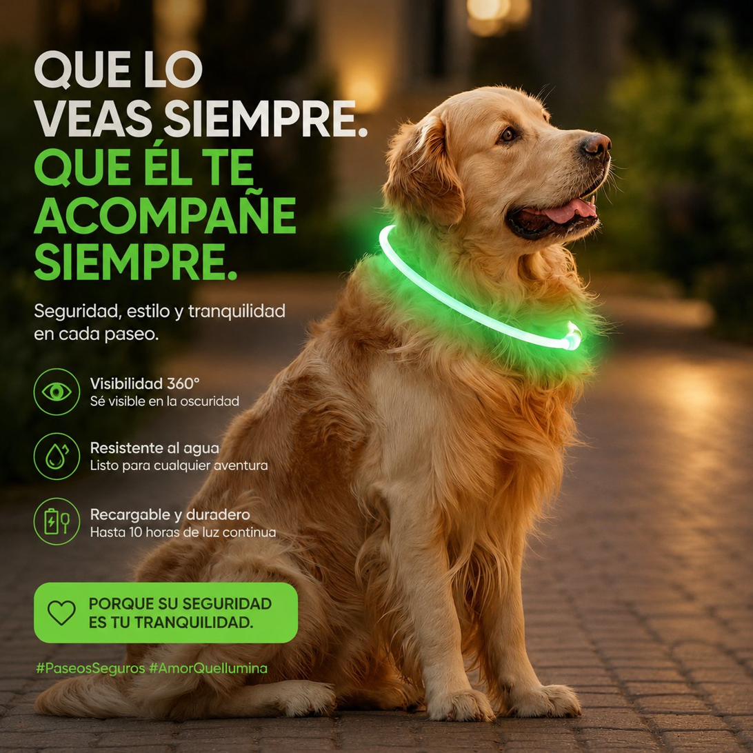 Instrucciones para ajustar el collar LED a la medida del perro cortandolo con tijeras